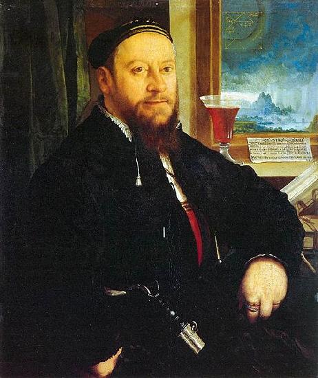 Christoph Amberger Portrait of Matthaus Schwarz oil painting image